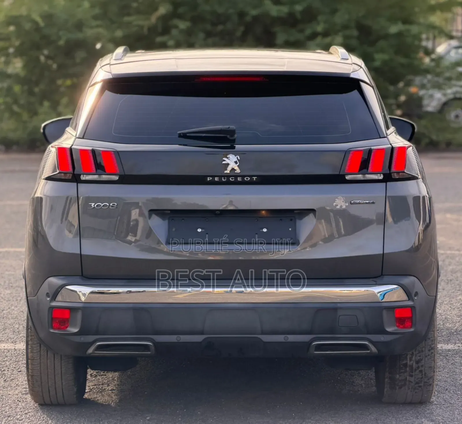 Peugeot 3008 2019 Gris