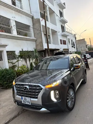 Hyundai Palissade 2020 Gris