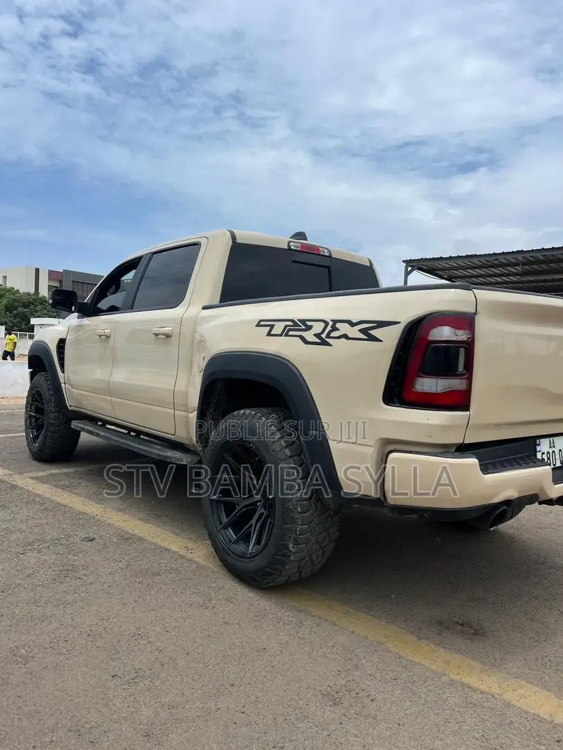 RAM Promaster 2500 2020 Marron