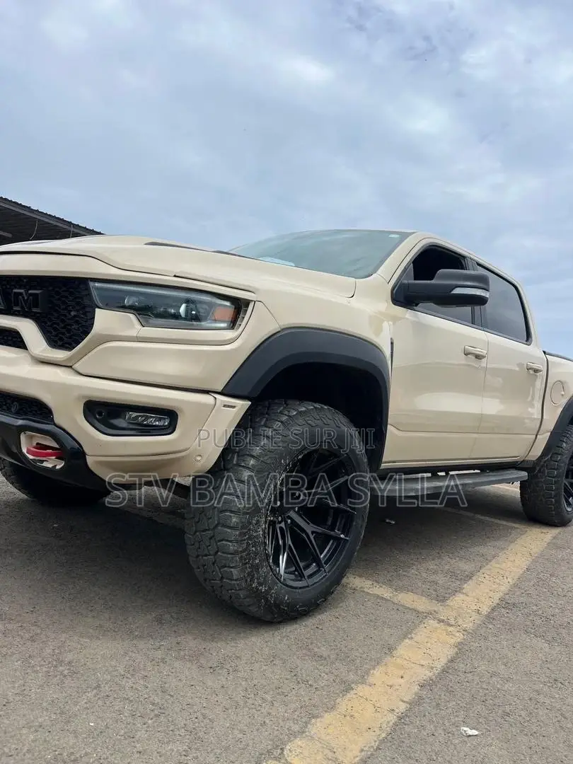 RAM Promaster 2500 2020 Marron