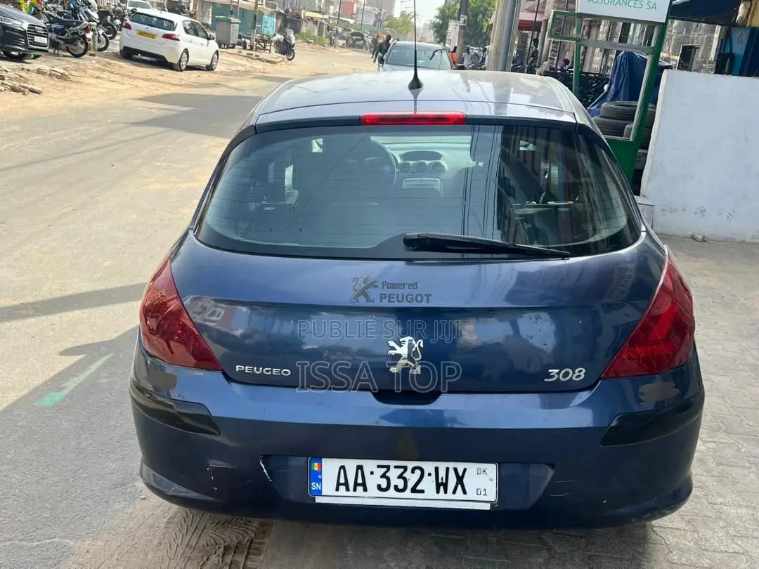 Peugeot 308 2009 Gris