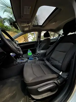 Hyundai Elantra 2017 Gris