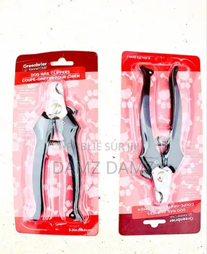 Accessoires Pour Chiens