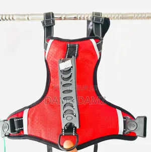 Accessoires Pour Chiens