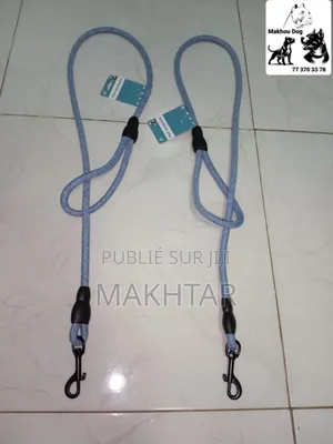 Laisse Pour Chien