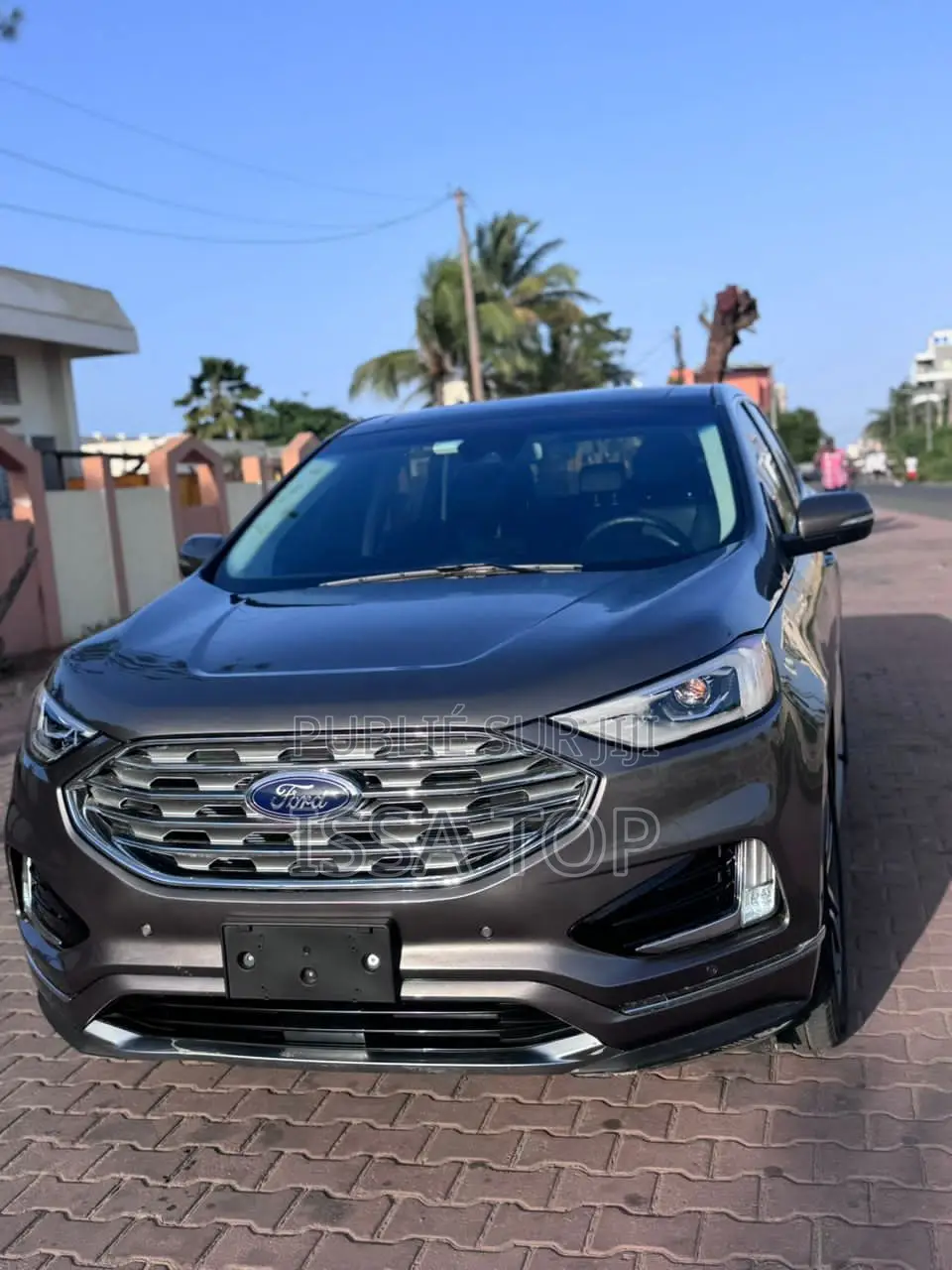 Ford Edge 2019 Gris