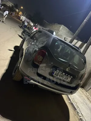 Renault Duster 2010 Gris