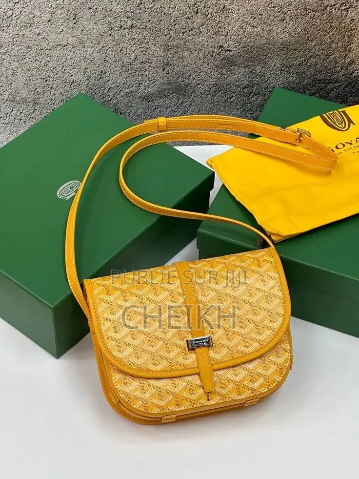 Sacoche Goyard Paris