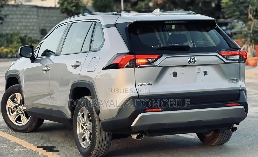 Toyota RAV4 2020 Gris