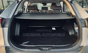 Toyota RAV4 2020 Gris