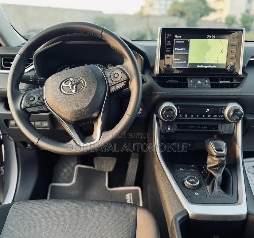 Toyota RAV4 2020 Gris