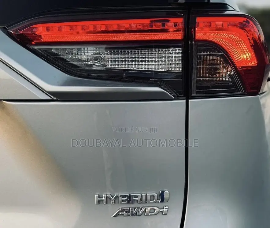 Toyota RAV4 2020 Gris