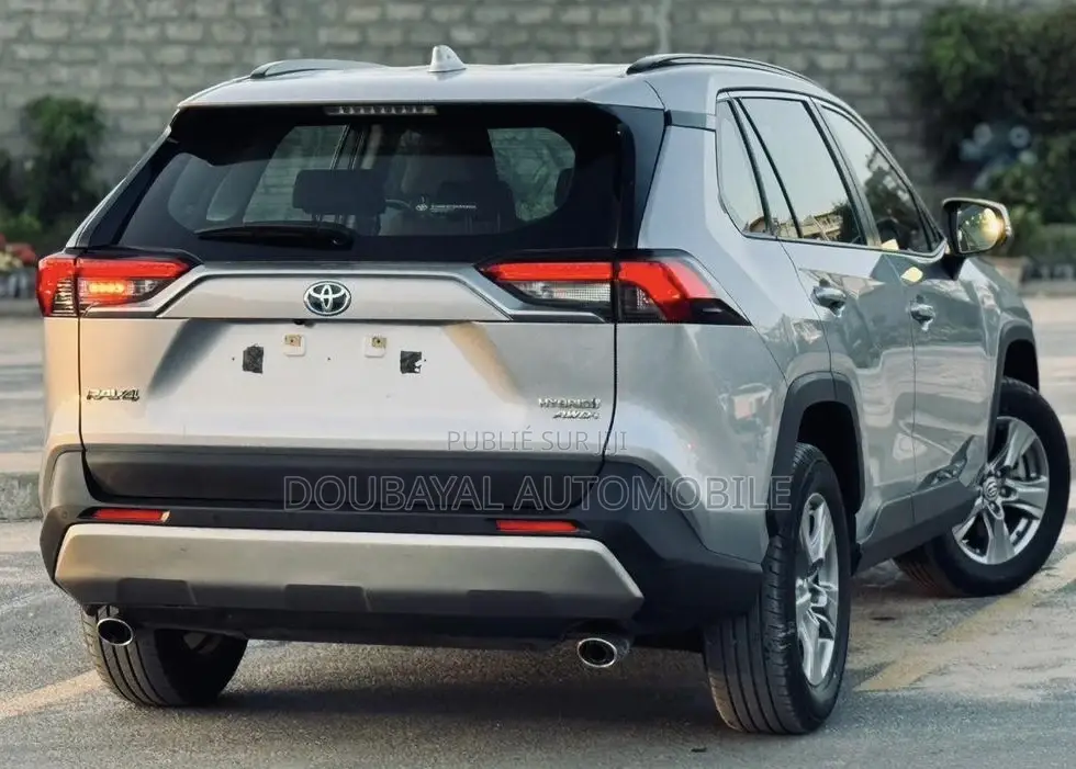 Toyota RAV4 2020 Gris