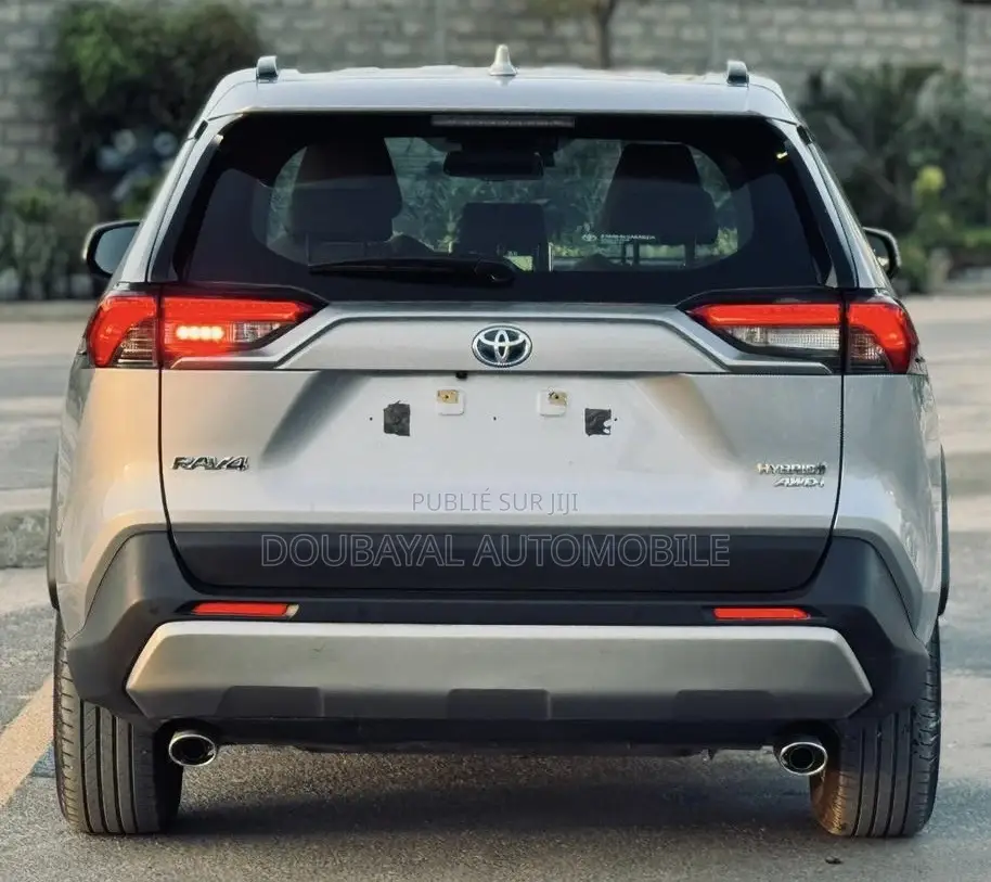 Toyota RAV4 2020 Gris