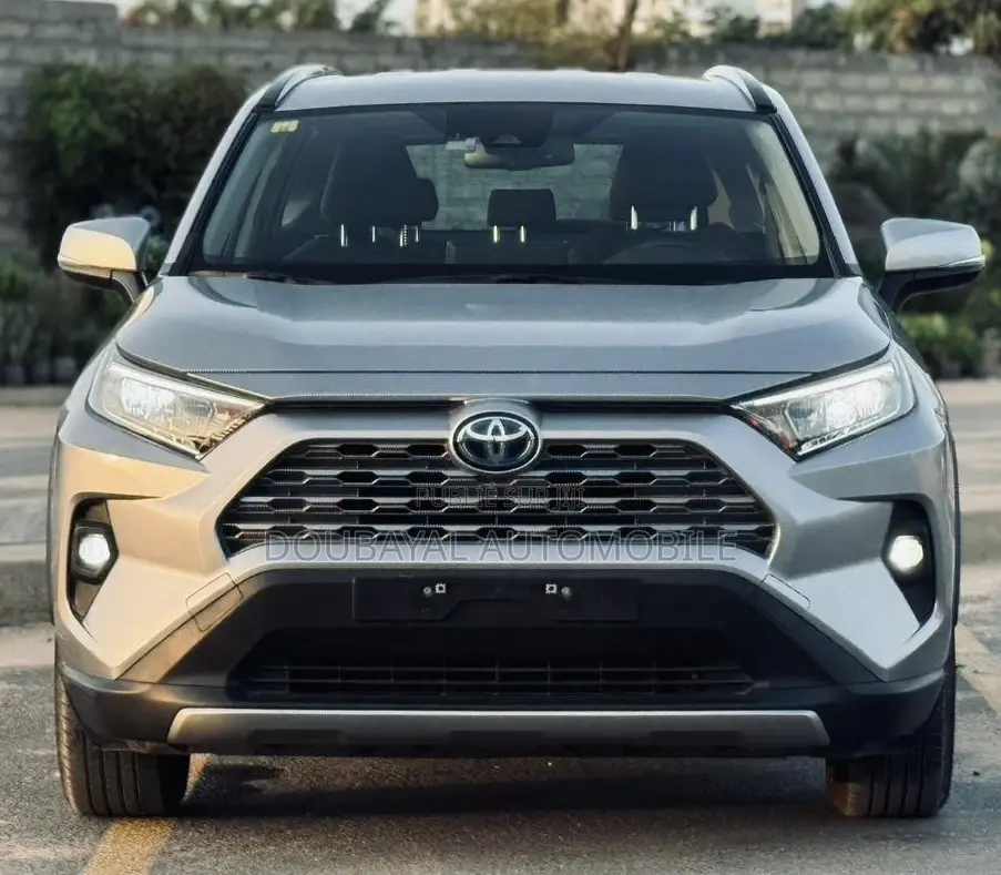Toyota RAV4 2020 Gris