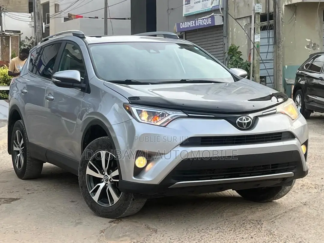 Toyota RAV4 2017 Gris