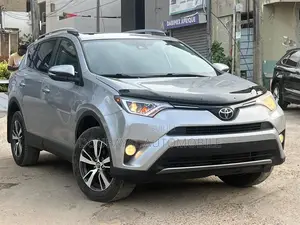 Toyota RAV4 2017 Gris