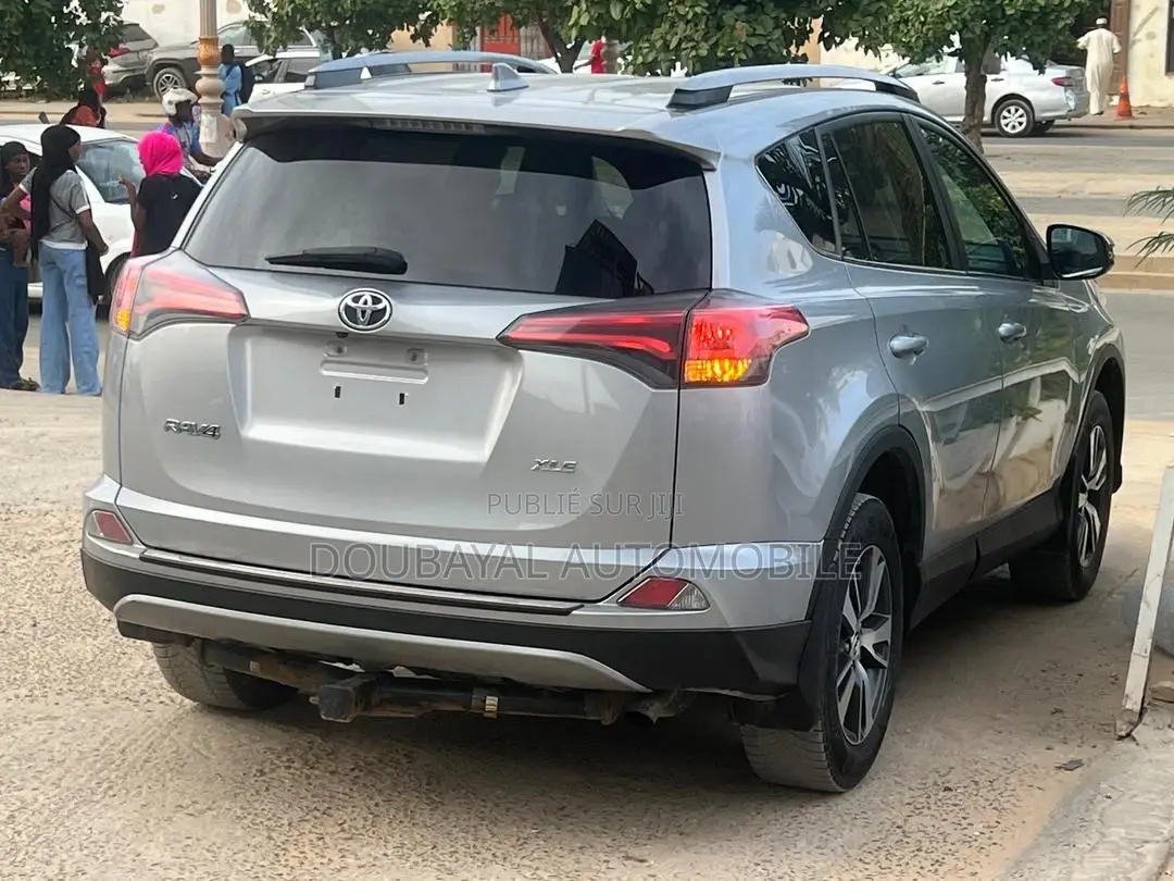 Toyota RAV4 2017 Gris