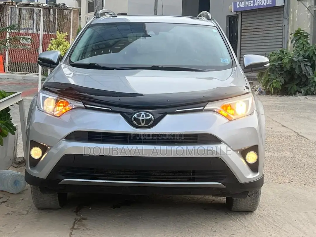 Toyota RAV4 2017 Gris