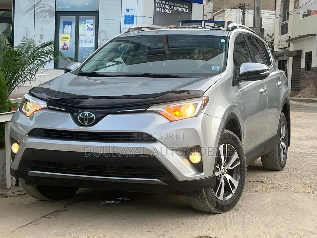 Toyota RAV4 2017 Gris