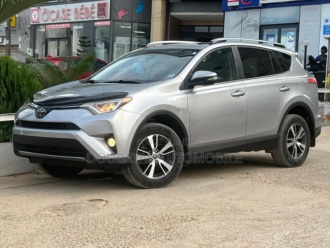 Toyota RAV4 2017 Gris