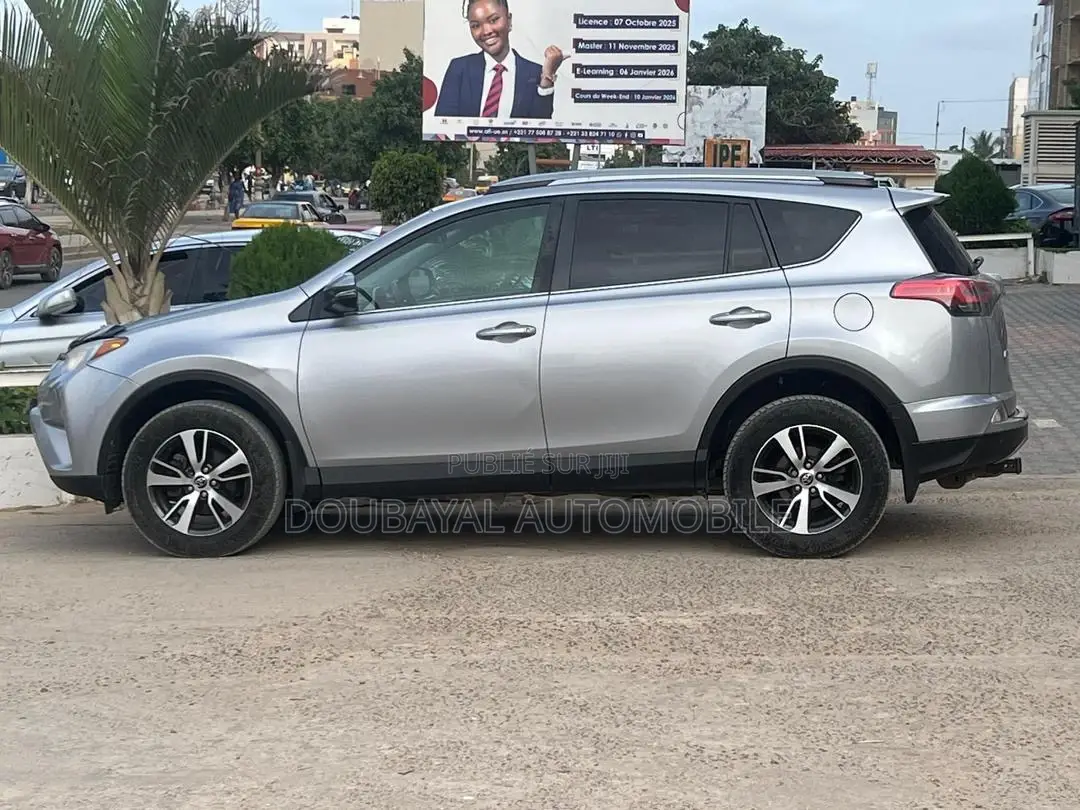 Toyota RAV4 2017 Gris