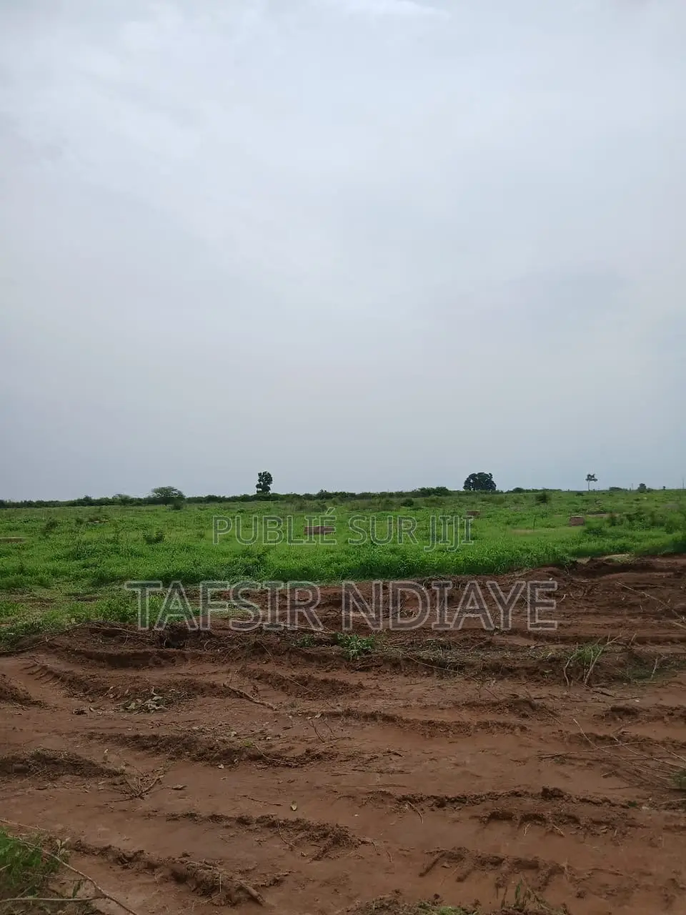 Terrain A Vendre Dans La Région De Thiès Signé Par Le Maire
