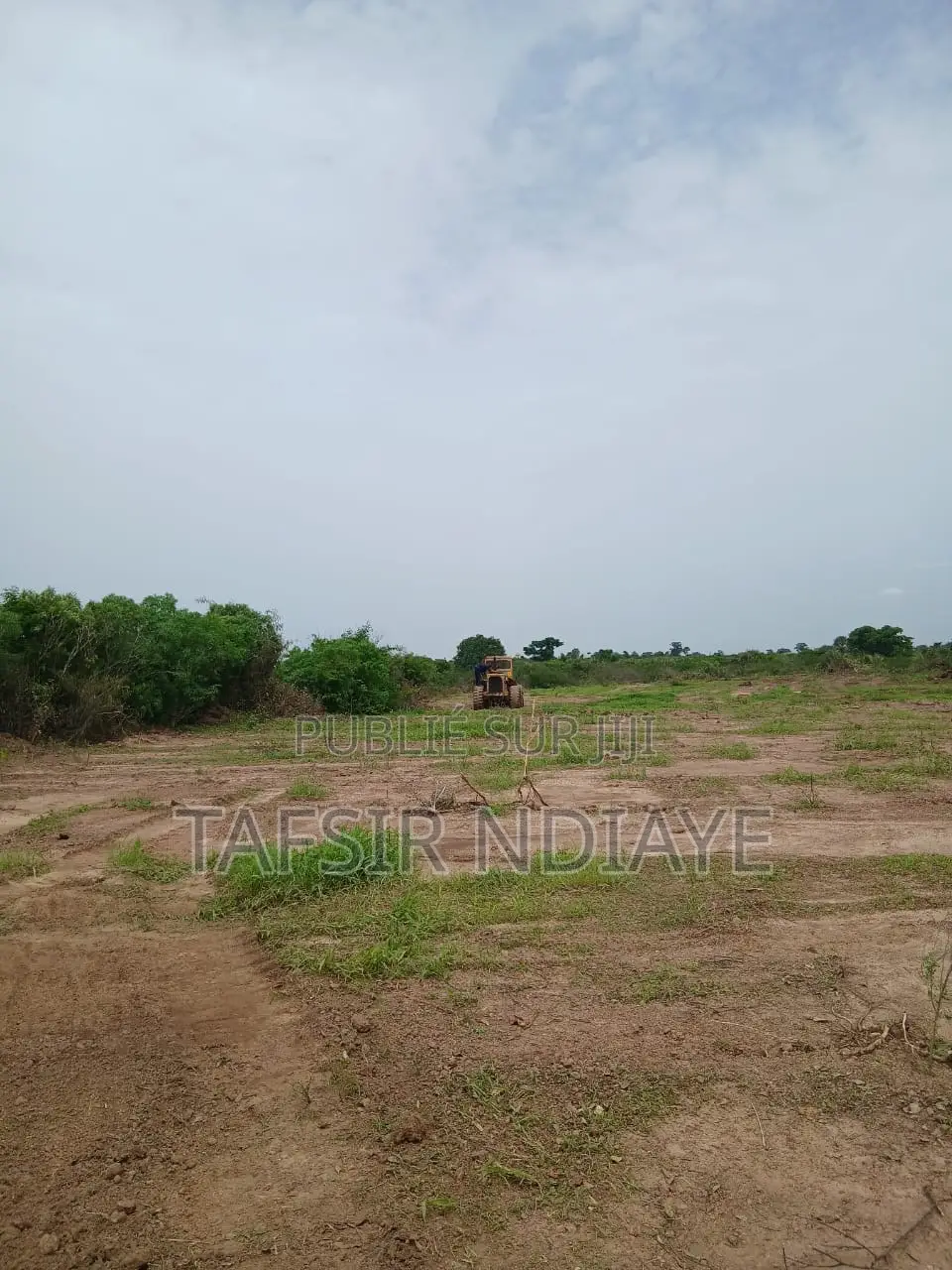 Terrain A Vendre Dans La Région De Thiès Signé Par Le Maire