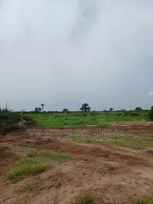 Terrain A Vendre Dans La Région De Thiès Signé Par Le Maire