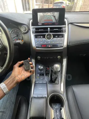 Lexus NX 200 AWD 2018 Gris