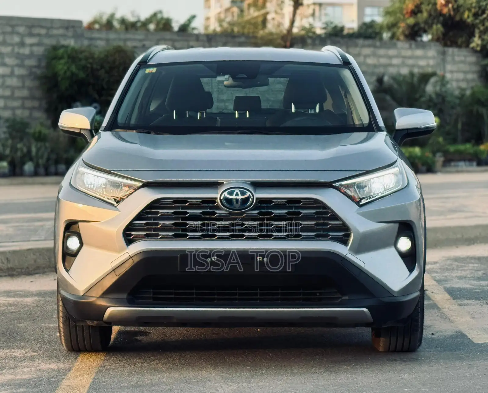 Toyota RAV4 2020 Gris