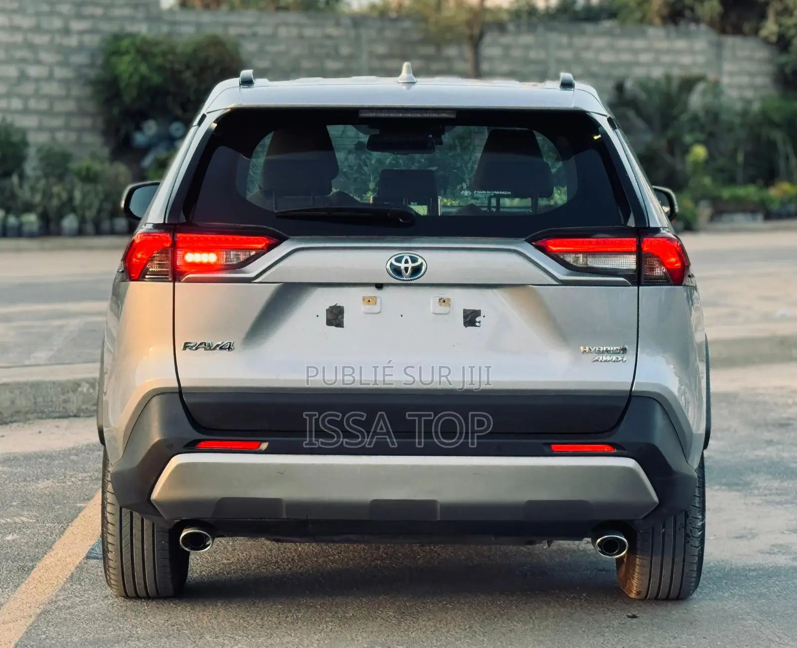 Toyota RAV4 2020 Gris