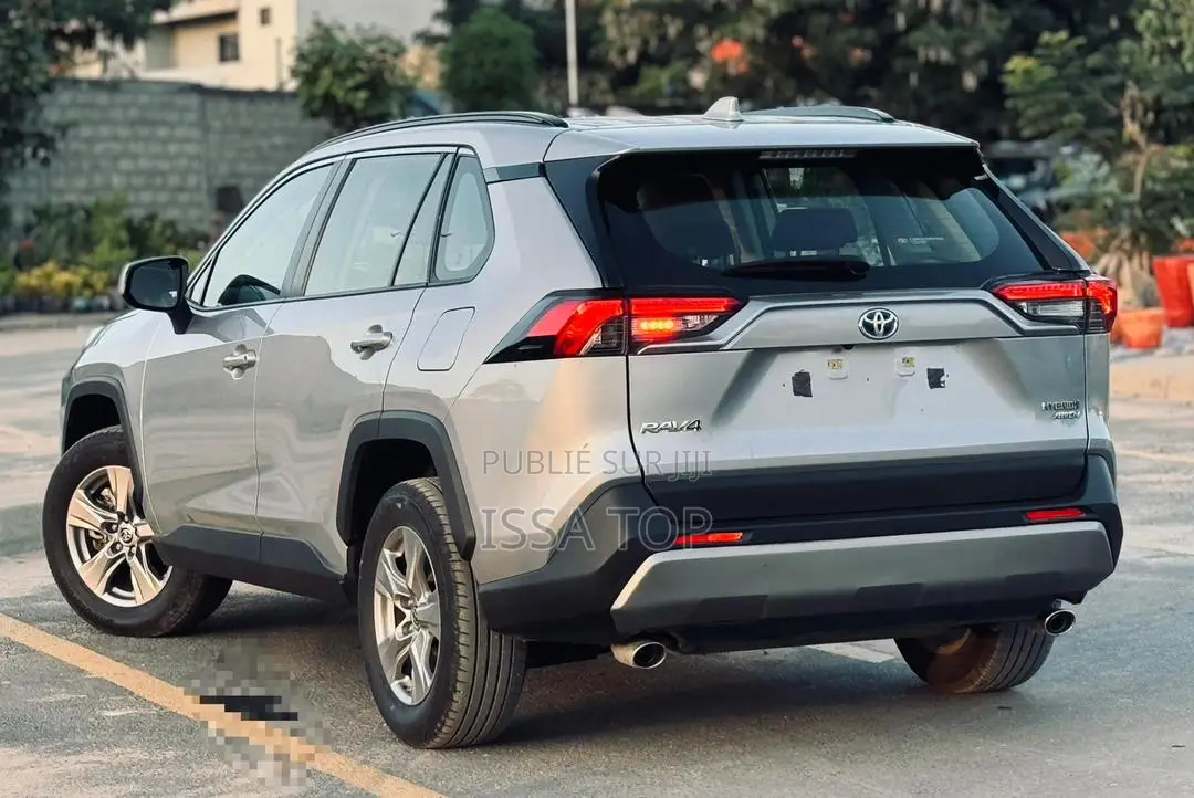 Toyota RAV4 2020 Gris