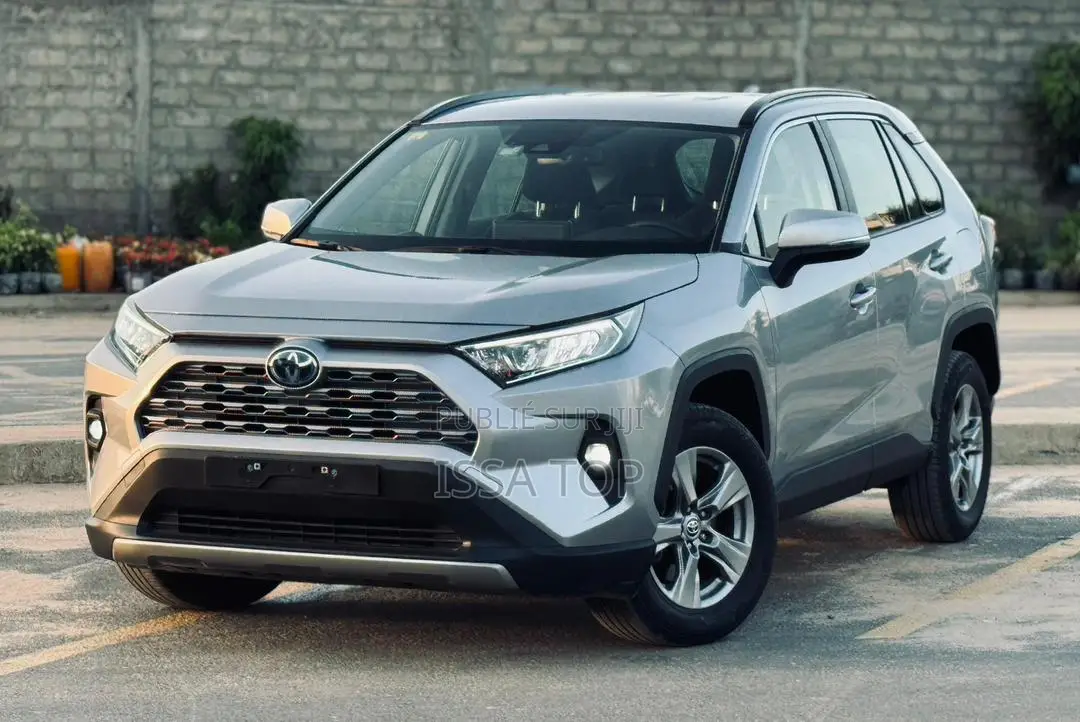 Toyota RAV4 2020 Gris