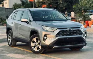 Toyota RAV4 2020 Gris