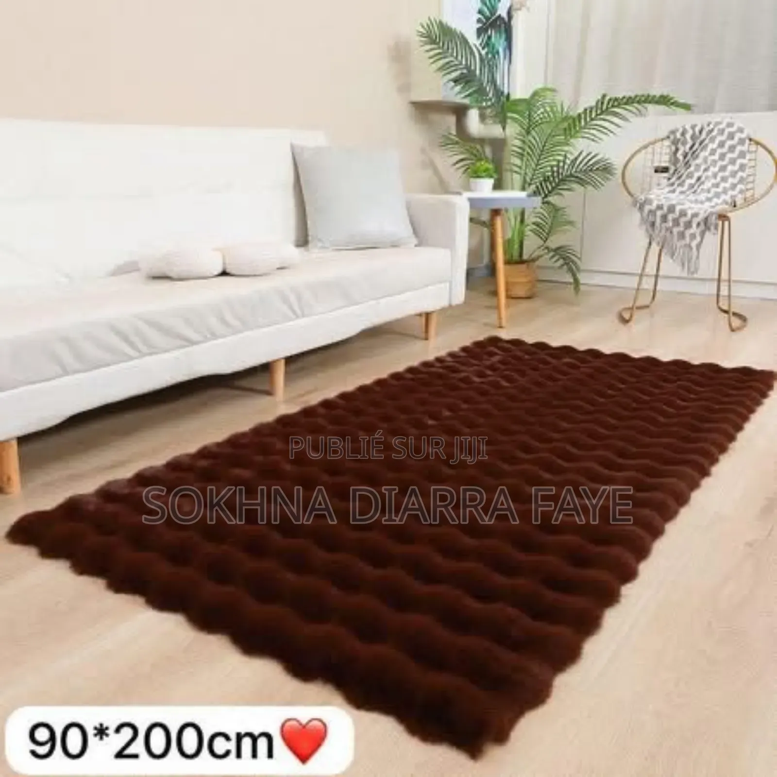 Descente De Li Avec Fourrure