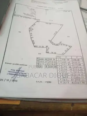 Des Parcelles De 300 M2 (15/20)