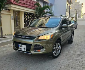 Ford Escape 2013 Doré