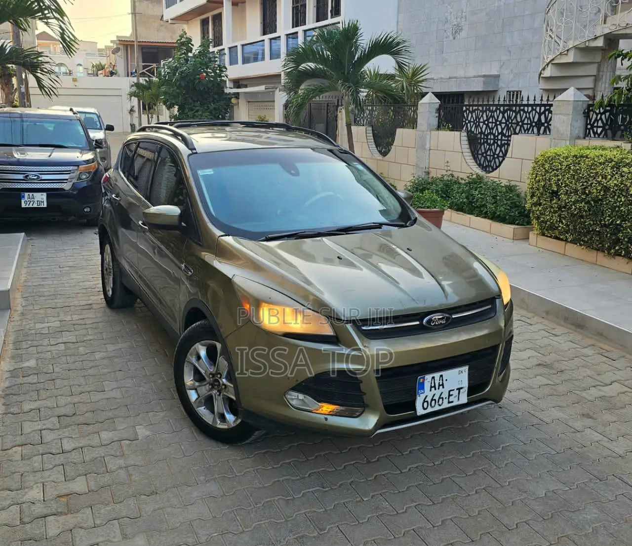 Ford Escape 2013 Doré