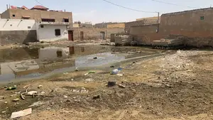 Photo - Terrain 337 M2 Titre Foncier a Pikine Saint Louis