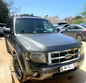 Ford Escape 2012 Gris