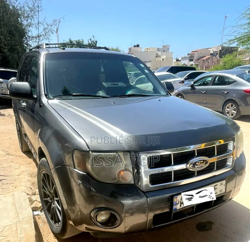 Ford Escape 2012 Gris