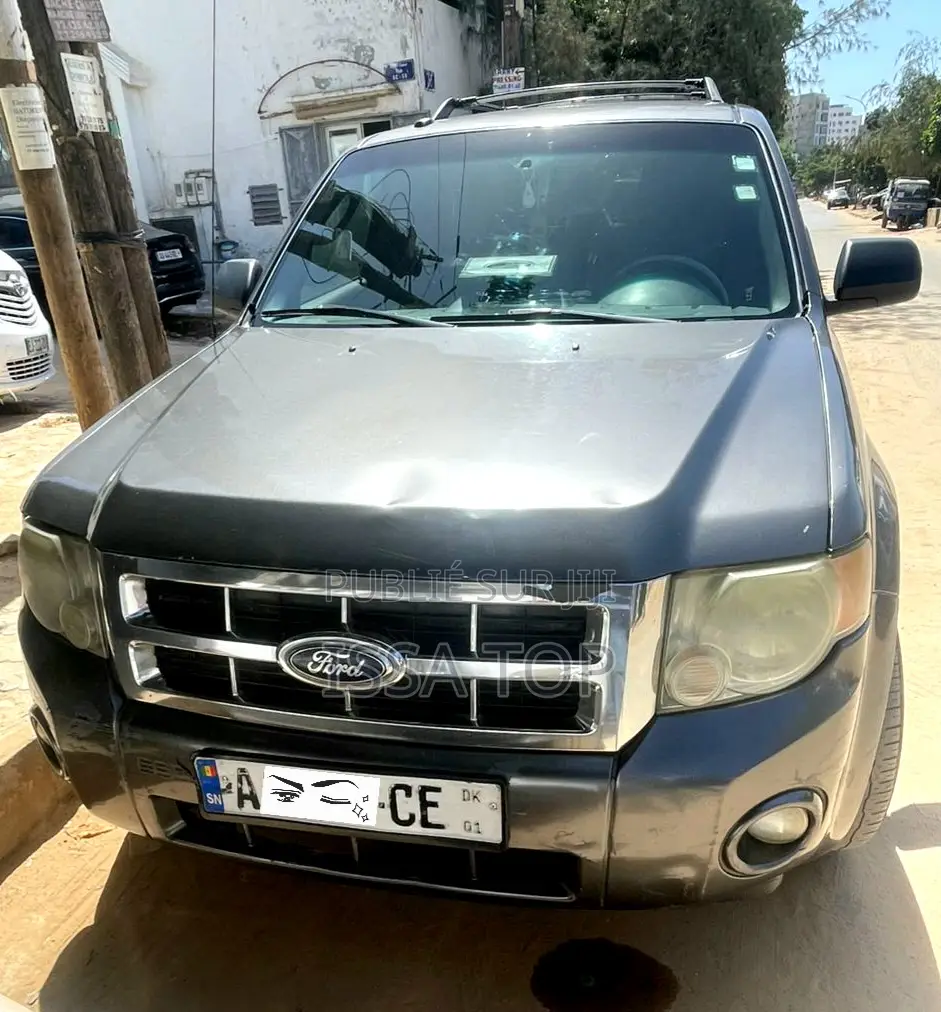 Ford Escape 2012 Gris