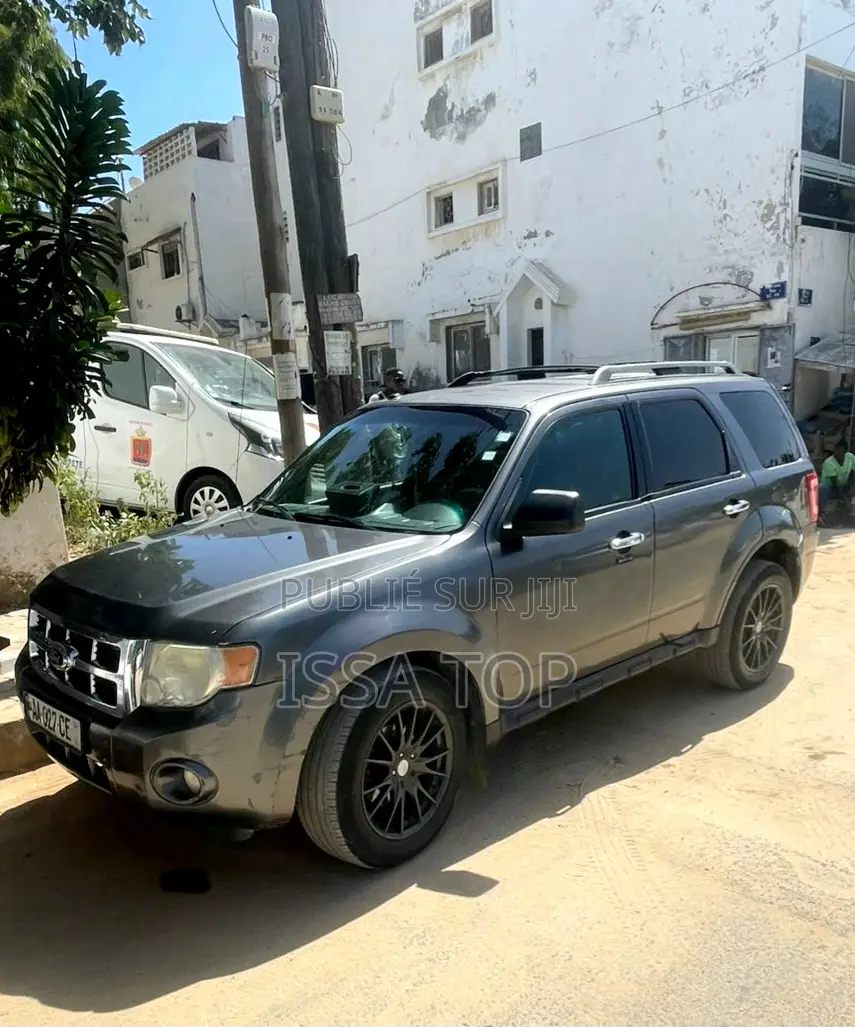 Ford Escape 2012 Gris