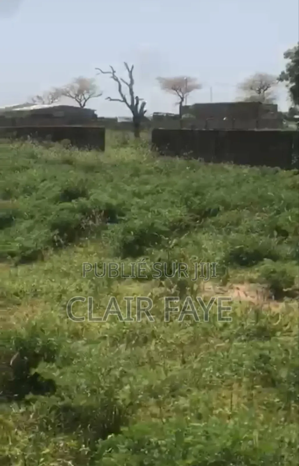 Terrain À Vendre À Keur Moussa Ndoyènne Peul