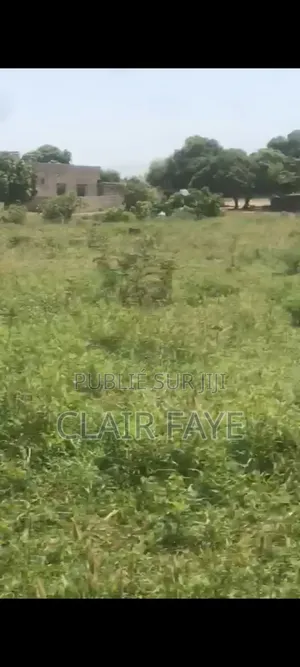 Terrain À Vendre À Keur Moussa Ndoyènne Peul