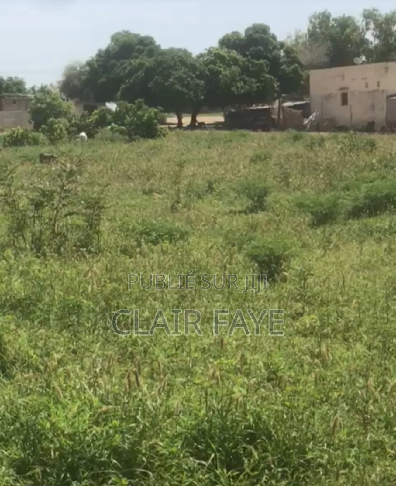 Terrain À Vendre À Keur Moussa Ndoyènne Peul