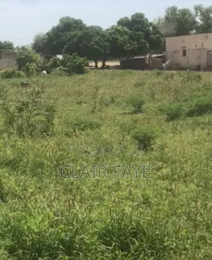 Terrain À Vendre À Keur Moussa Ndoyènne Peul