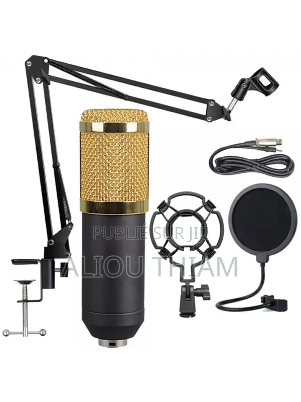 Bm 800 Microphone De Studio Professionnel