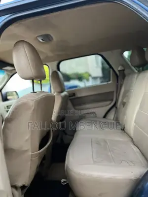 Ford Escape 2010 Blue